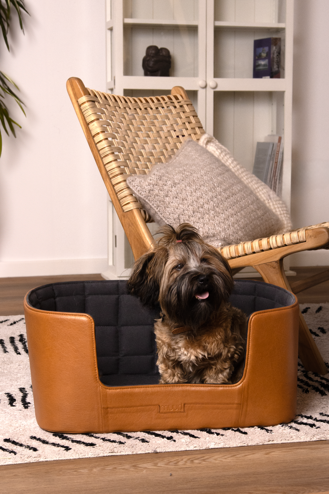 muud Cawo Dog Bed Pet Whisky